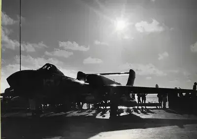 Sea Vixen 96